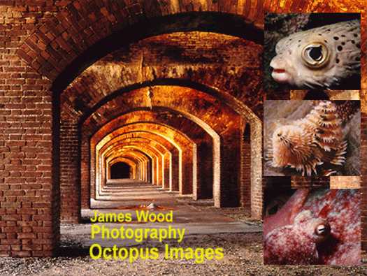 Gallery PhotographyTitle Image