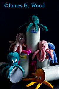 Octopus Rearing Chambers